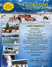 Yellowstone Winter Safari